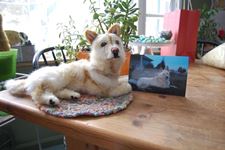 Will  With Photo
